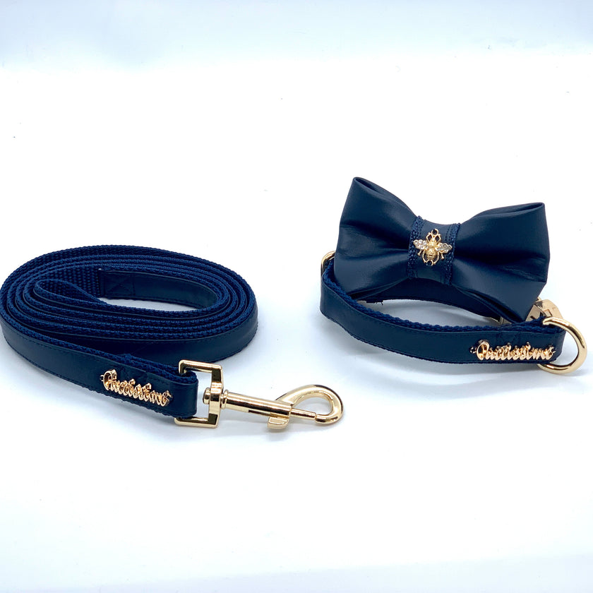 Neptune Collar