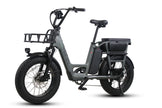 Care-Go Cargo 1200W eBike (CG2) | 32 Km/hr Top Speed  | 160 Km Range