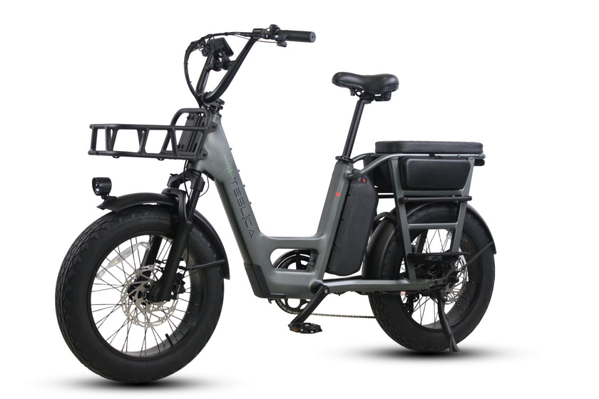 Care-Go Cargo 1200W eBike (CG2) | 32 Km/hr Top Speed  | 160 Km Range