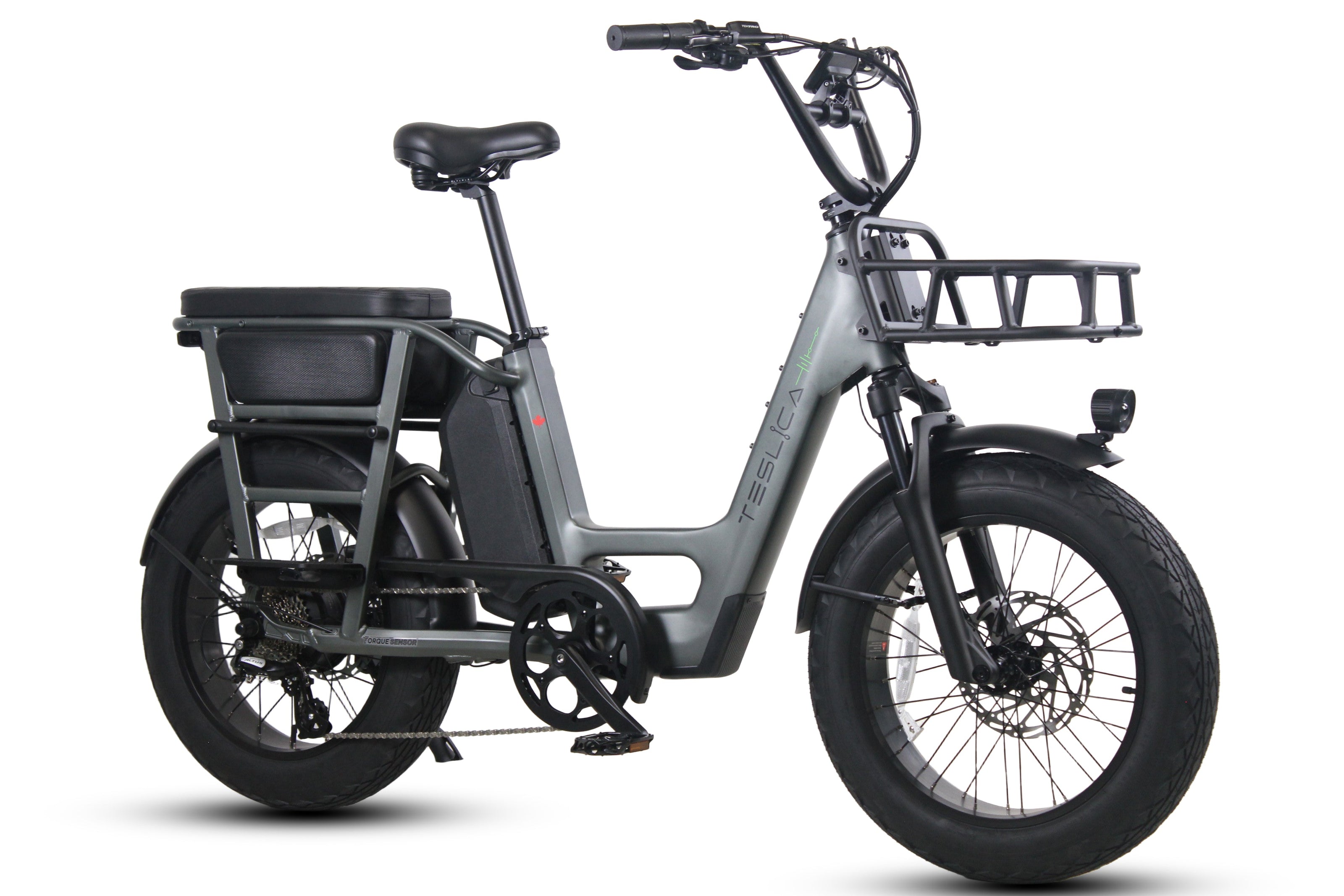 Care-Go Cargo 1200W eBike (CG2) | 32 Km/hr Top Speed  | 160 Km Range