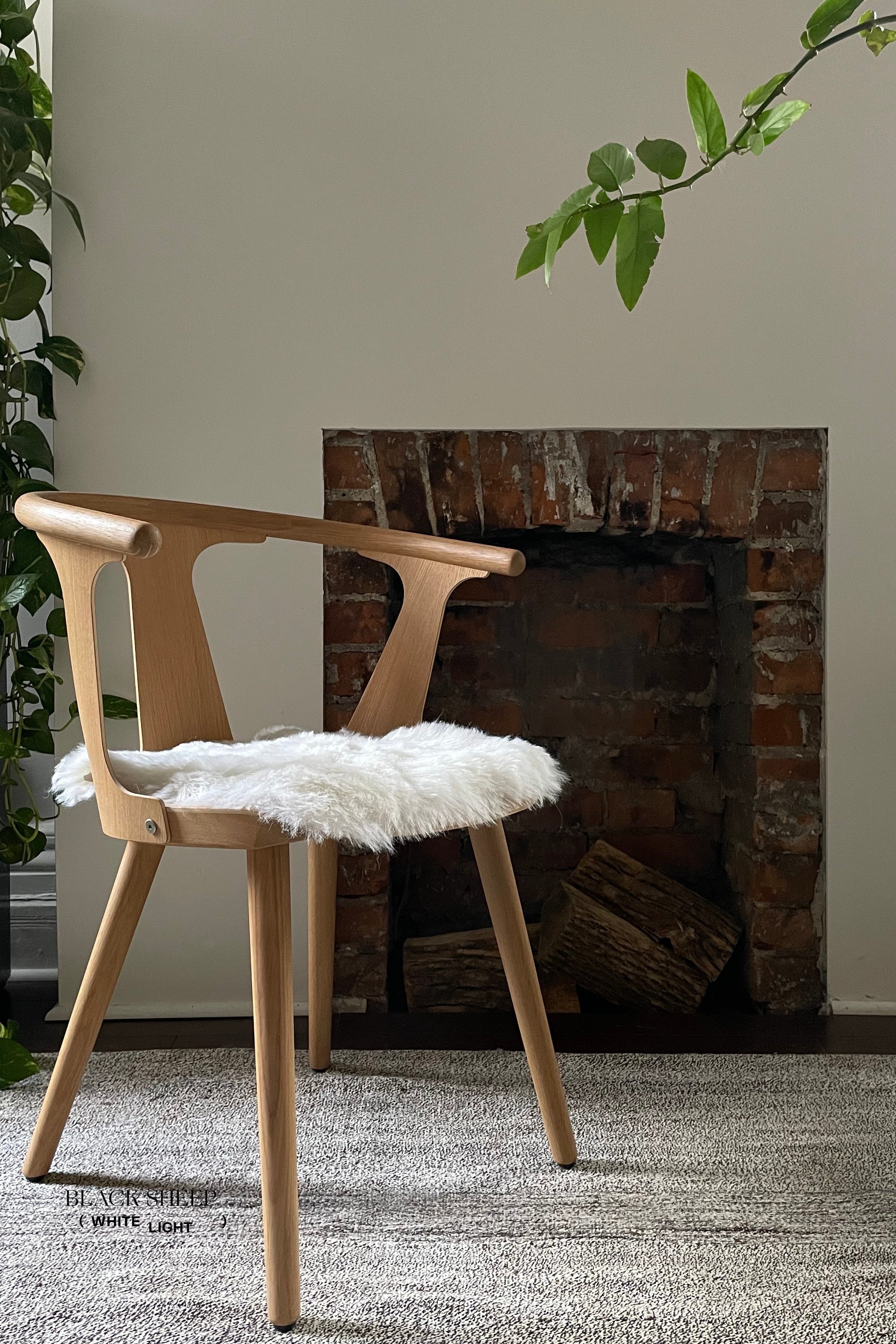Shorn White Icelandic Sheepskin Chair Pad
