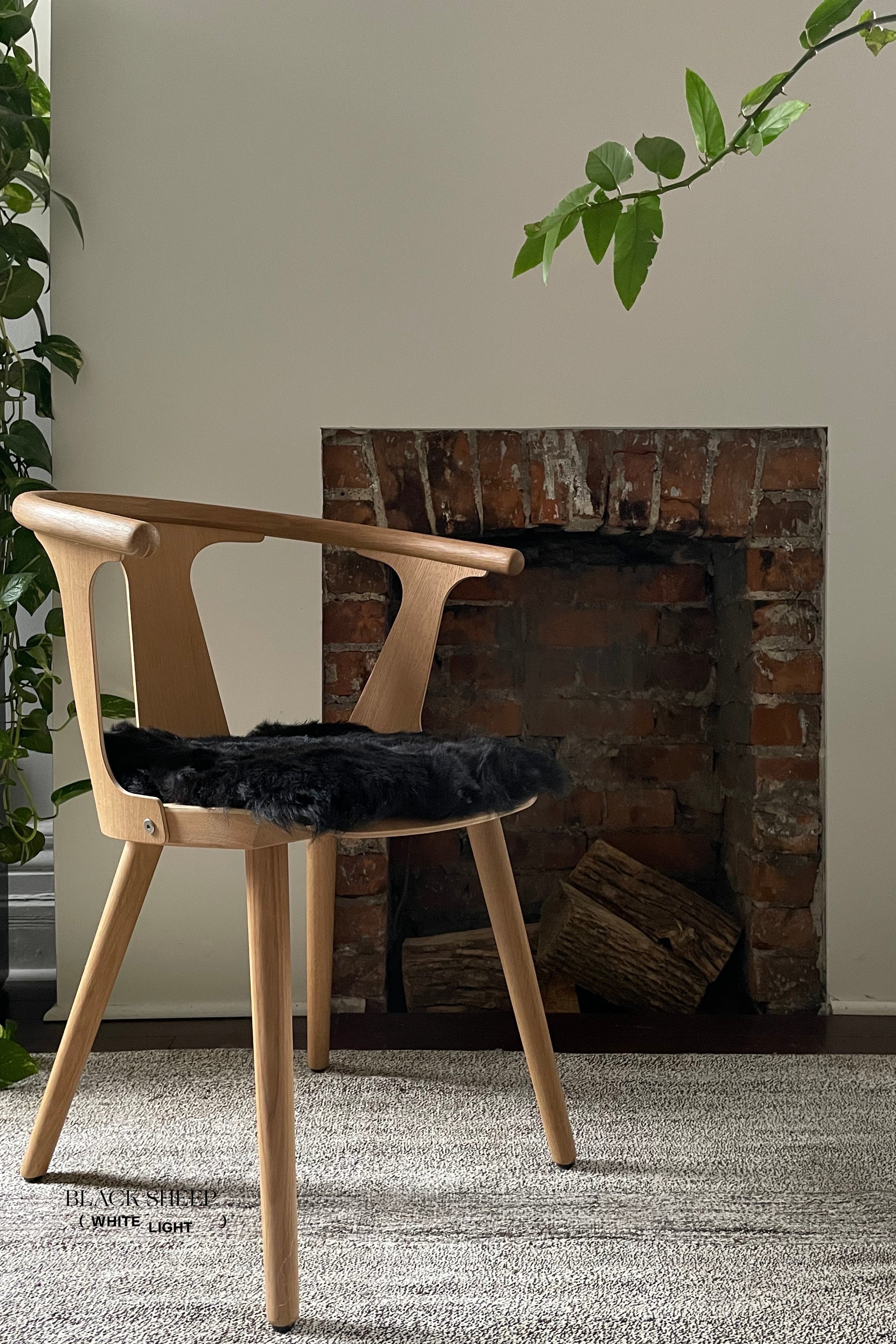Shorn Black Icelandic Sheepskin Chair Pad