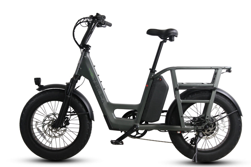 Care-Go Cargo 1200W eBike (CG2) | 32 Km/hr Top Speed  | 160 Km Range