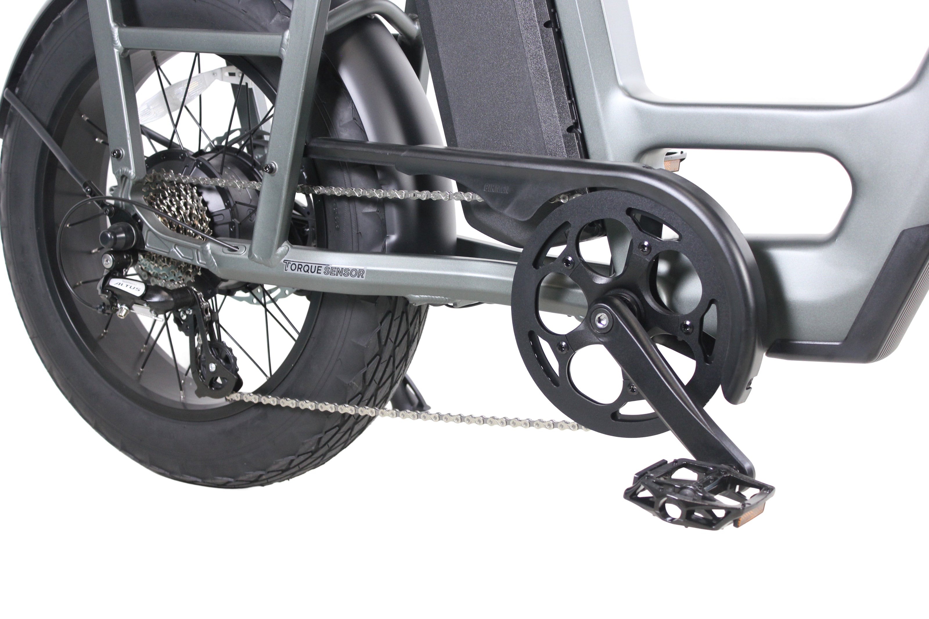 Care-Go Cargo 1200W eBike (CG2) | 32 Km/hr Top Speed  | 160 Km Range