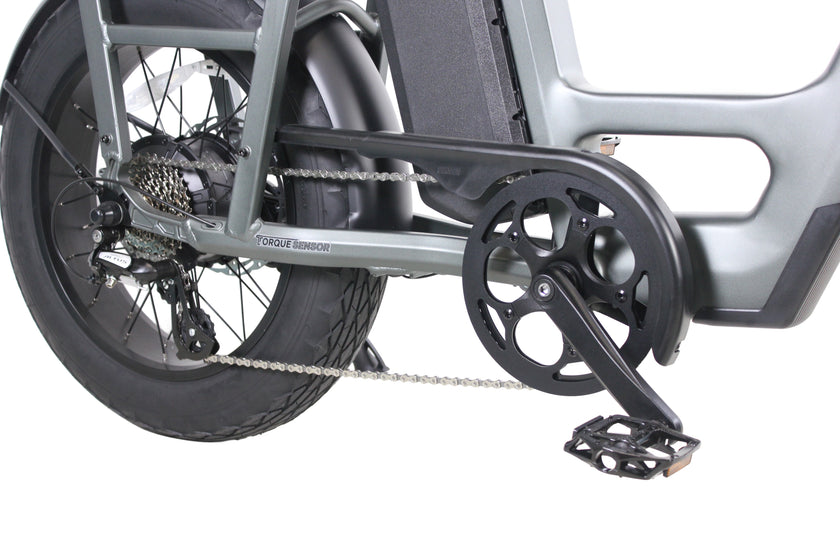 Care-Go Cargo 1200W eBike (CG2) | 32 Km/hr Top Speed  | 160 Km Range