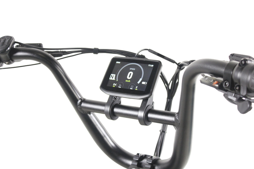Care-Go Cargo 1200W eBike (CG2) | 32 Km/hr Top Speed  | 160 Km Range