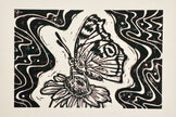 'the Butterfly' hand print