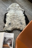 Shorn Grey Dark Edges Icelandic Sheepskin
