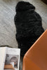 Natural Shorn Black Double Icelandic Sheepskin