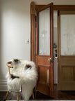 Spotted Icelandic Sheepskin | Minimal