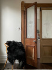 Spotted Icelandic Sheepskin | Maximal