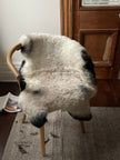 Shorn Grey Dark Edges Icelandic Sheepskin