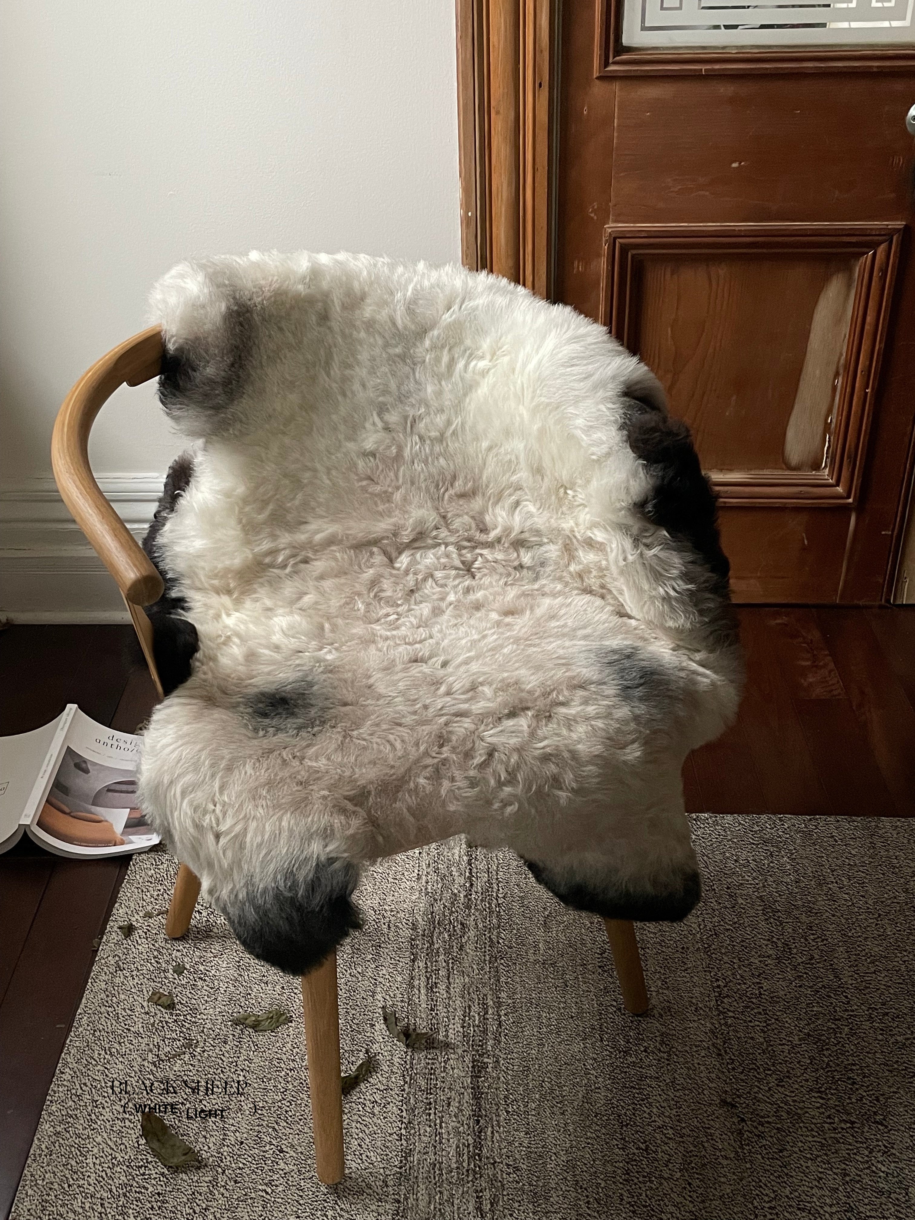 Shorn Grey Dark Edges Icelandic Sheepskin