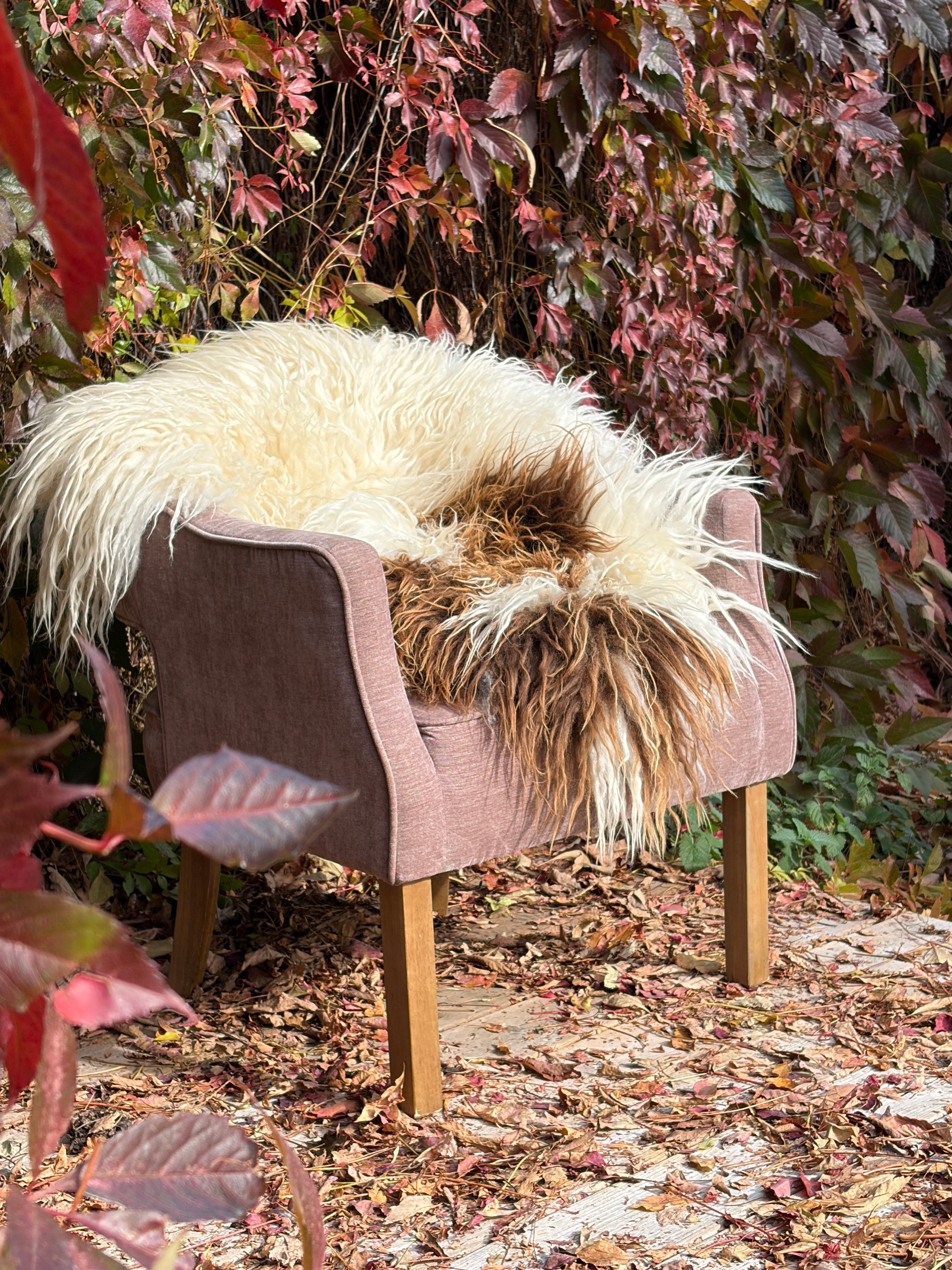 Natural Brown Spotted Icelandic Sheepskin | Random