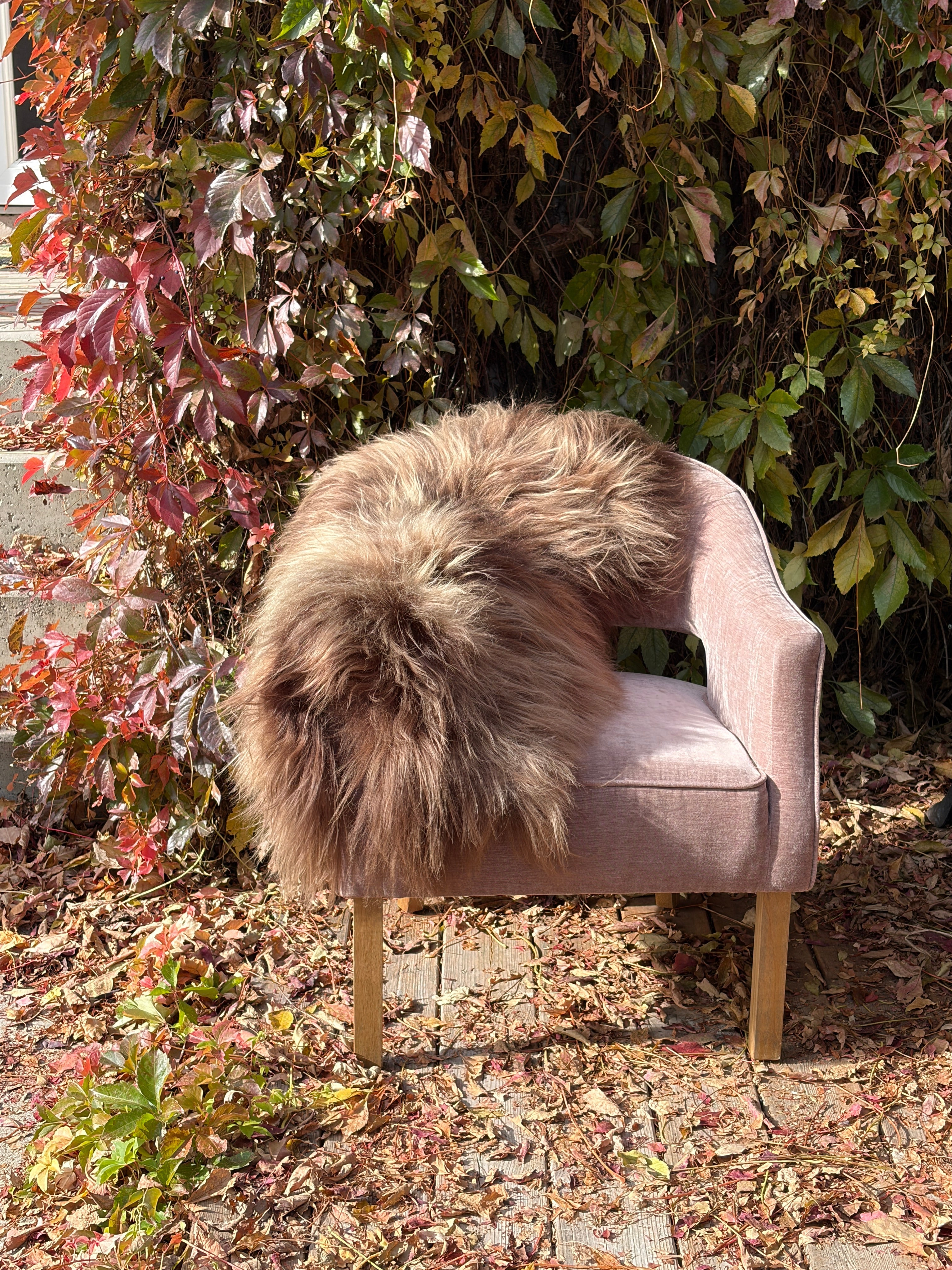 Dark Brown Icelandic Sheepskin