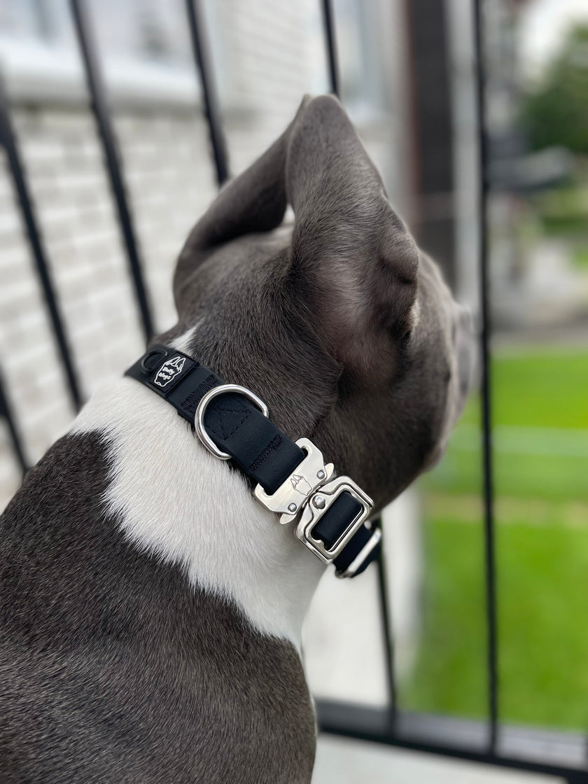 1 inch Waterproof PVC Dog Collar