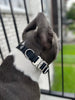 1 inch Waterproof PVC Dog Collar
