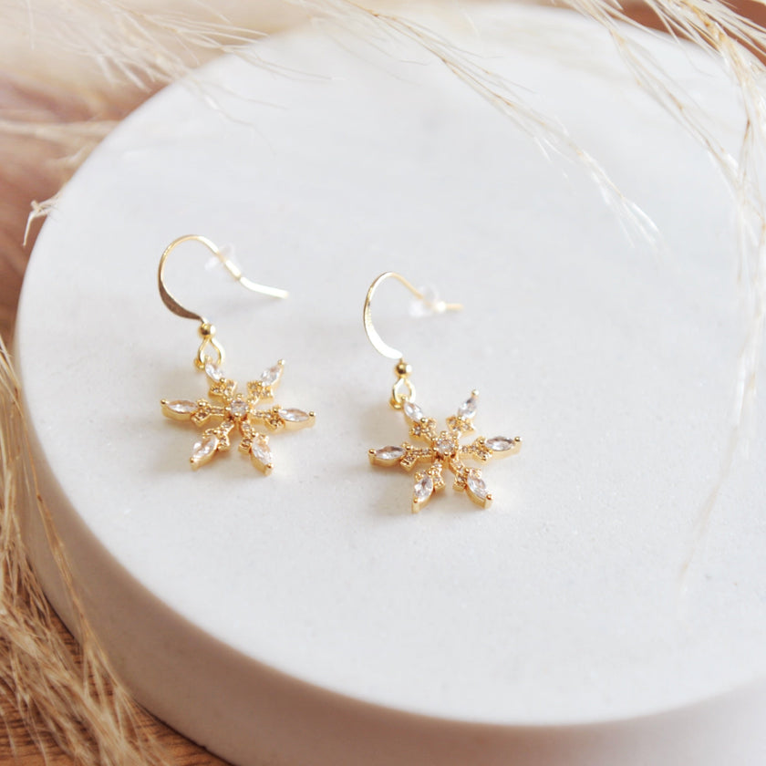 Winter Snowflake