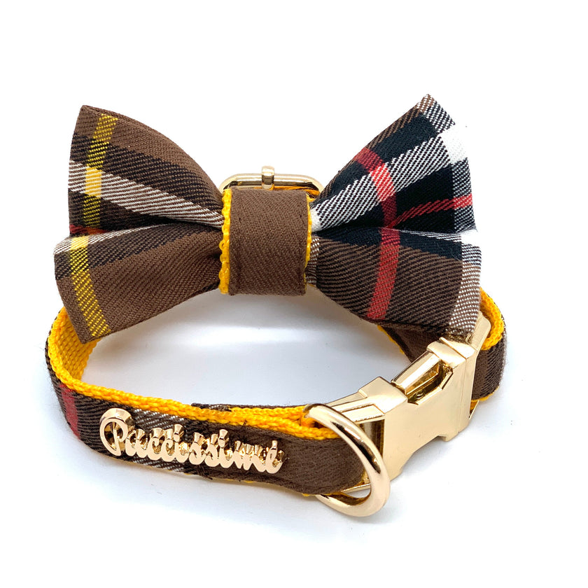 Medallion dog collar