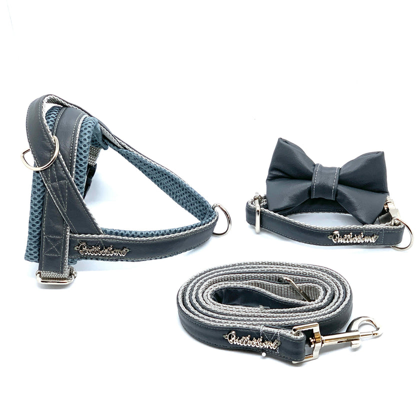 Shadow dog bow tie
