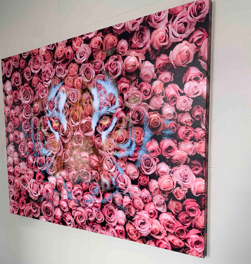 Tiger in the Rose-Wildlife Canvas Prints- Animal Art- Gold varnish
