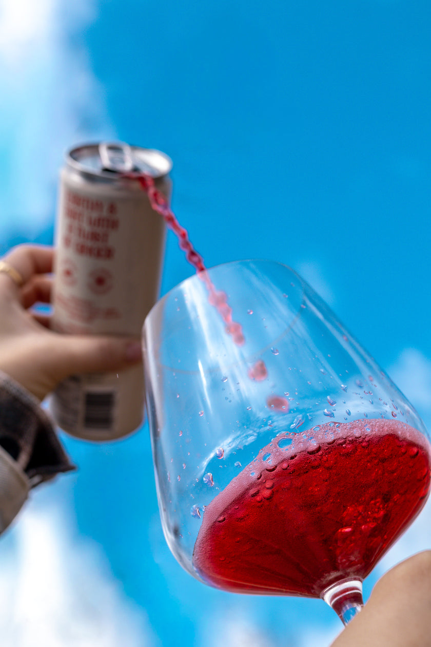 Hibiscus Spritzer