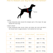 Peach real Leather One-Click Dog Harness