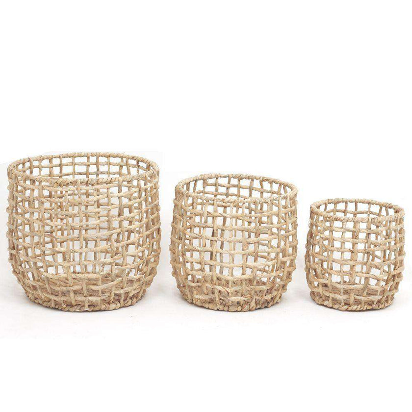 Irma Water Hyacinth Planter