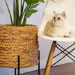 Isha Natural Braided Planter