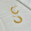 ISLA : Boucles d'oreilles à bord perlé
