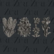 Zuri Designs Flower Blooms Set 2