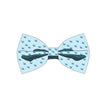 Bow Tie - Mockup and Template - 2 Angles, 1 Style, Layered, Detailed and Editable Vector in EPS, SVG, AI, PNG, DXF and PDF