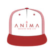 Trucker Hat - Mockup and Template - 8 Angles, Layered, Detailed and Editable Vector in EPS, SVG, AI, PNG, DXF and PDF