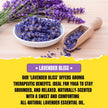 Lavender Bliss Essential Oil Roll-On (10ml) – Soothing Lavender Aromatherapy Blend for Relaxation & Stress Relief