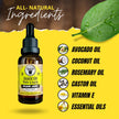 Plain Jane Beard Oil (30ml) – Naked, Unscented & Fragrance-Free | Premium Conditioning Beard Oil