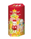 [pre order] Sonny Angel Christmas Ornament(2022)