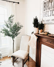 Oli Artificial Olive Tree Potted Plant (Multiple Sizes)