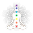 Incense - Backflow Cones - 7 Chakras - 8 Cones