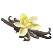 Incense Cones - Sweet Vanilla - 10 Cones