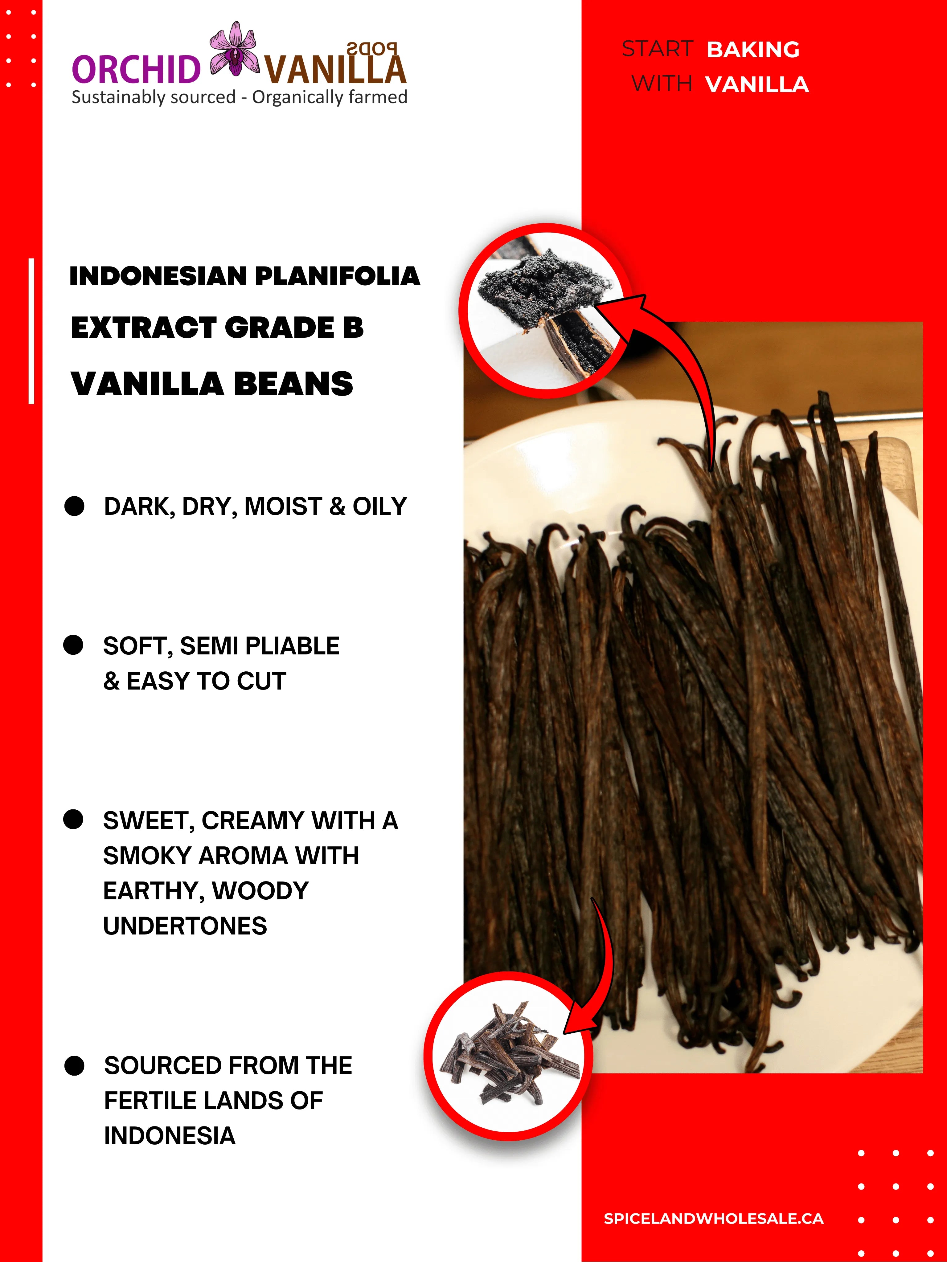 Indonesian Vanilla Beans (Sumatra) Planifolia Extract Grade-B <br>For Extract Making<BR>By Count