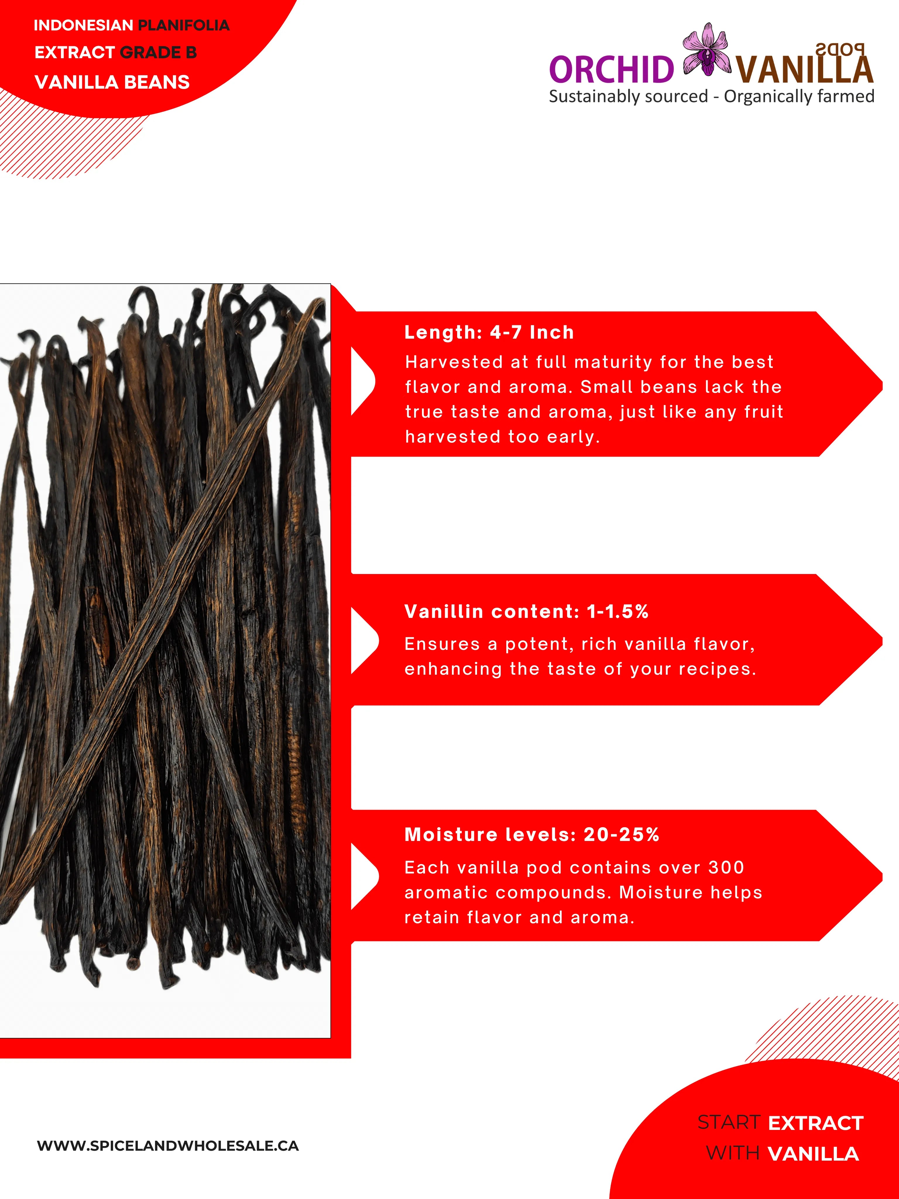 Indonesian Vanilla Beans (Sumatra) Planifolia Extract Grade-B <br>For Extract Making<BR>By Count
