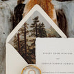 Fine Art Lined Envelopes (Woodland Collection)