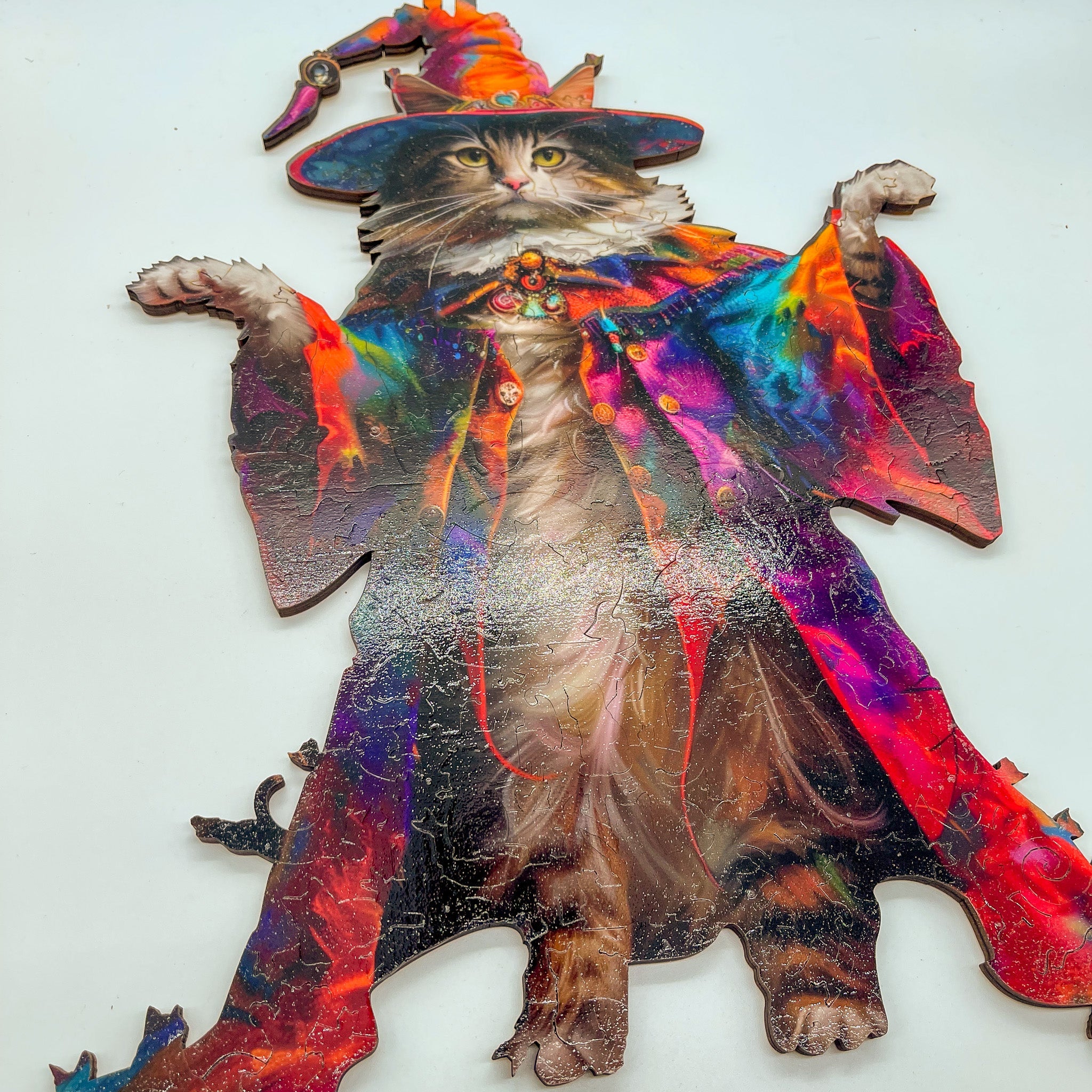 Magician Cat