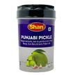 Shan Punjabi Mix Pickle