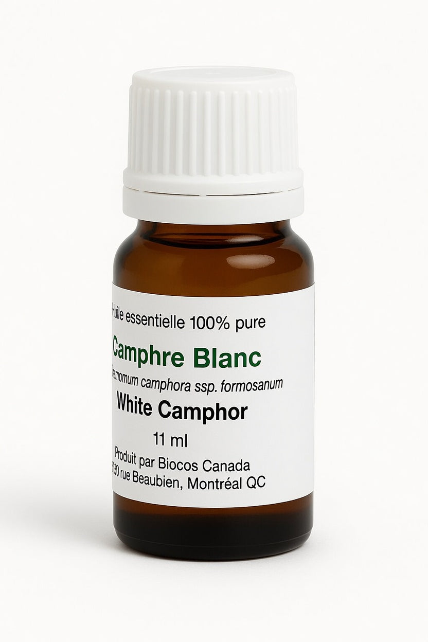 Camphre Blanc