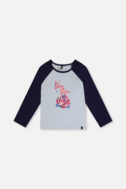 Raglan Organic Cotton T-Shirt Dark And Pale Blue