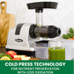 OMEGA J8006HDC All in One Nutrition System Cold Press Juicer