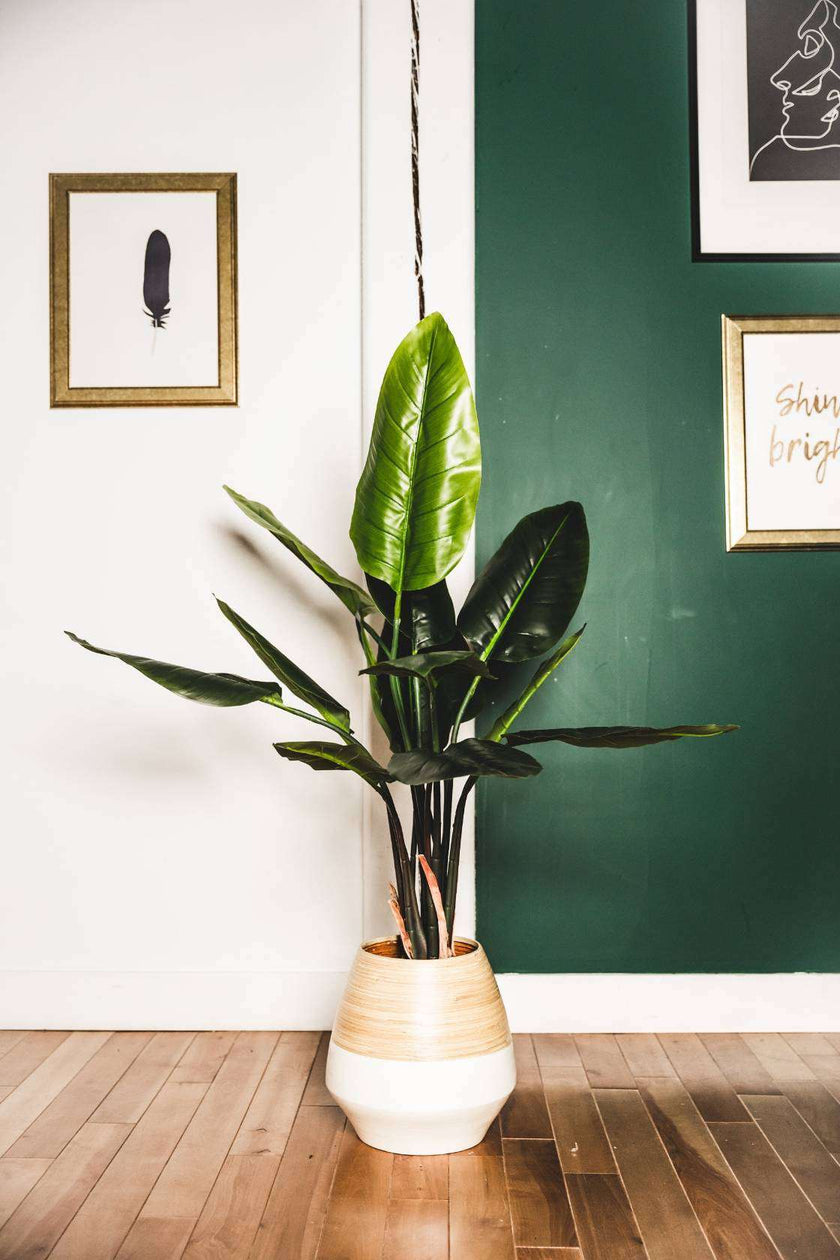 Javi Artificial Spathiphyllum Leaf Potted Plant 51
