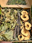 Boîte de cueillette de fruits sauvages dans un verger de pommiers