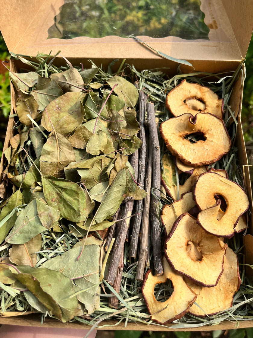 Boîte de cueillette de fruits sauvages dans un verger de pommiers